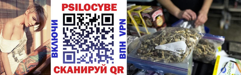 Купить  Киренск  Галлюциногенные грибы Psilocybe 